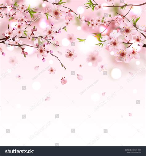 271 Background Bunga Sakura - MyWeb