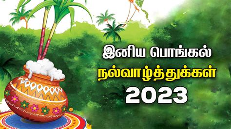 Top Pongal Wishes Images In Tamil Amazing Collection Pongal