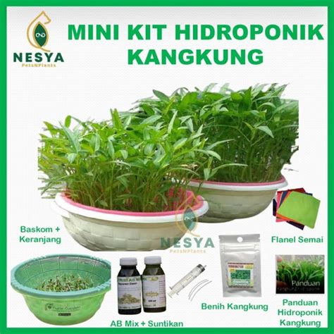 Mini Kit Kangkung Hidroponik Paket Hidroponik Kangkung Lengkap | Lazada Indonesia