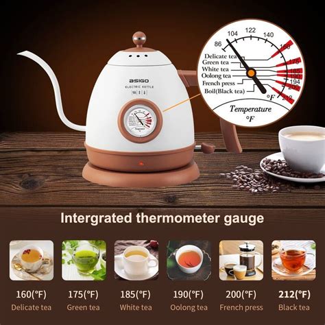 Gooseneck Electric Kettle With Thermometer 100 Stainless Steel For Pour Over Coffee And Tea