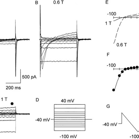 Currents Activated On Cell Swelling Voltage Steps Were Applied To