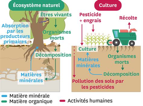 réglementation Les écosystèmes Portail Formation DRAAF PDL