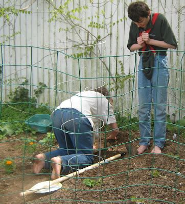 All Things Beautiful: How Groundhog's Garden Grew