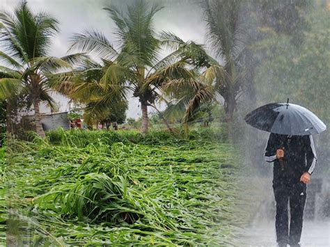 Maharastra Monsoon Updates शेतकऱ्यांचं टेन्शन वाढलं पुढील 4 दिवसात