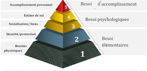 Les Besoins Fondamentaux De Lenfance Selon Maslow Et Montessori