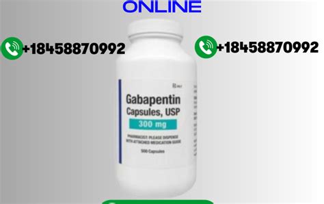 Determining the Correct Gabapentin Dose for Dogs: A Comprehensive Guide ...