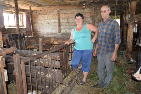 We Wsi Solist Wka Krowa Urodzi A Trojaczki Byli Pewni E Jedno Ciel