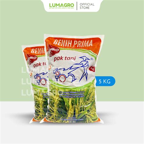 Jual Benih Padi Saprotan Utama 5kg Pak Tani Inpari 32 Pepe Pajajaran