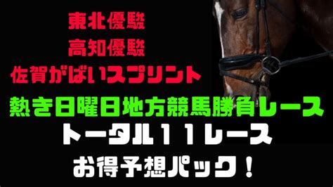 東北優駿 高知優駿 佐賀がばいスプリント 地方競馬11レース予想 Dmmオンラインサロン