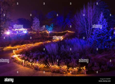 Winter Lights At The Rock Garden Royal Botanical Gardens Hamilton