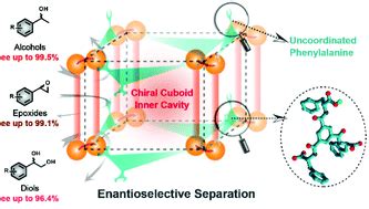 A Biomimetic Metalorganic Framework With Cuboid Inner Cavities For