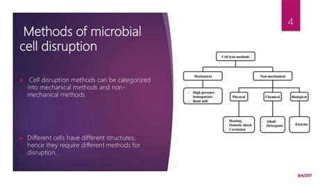 Cell disruption methods