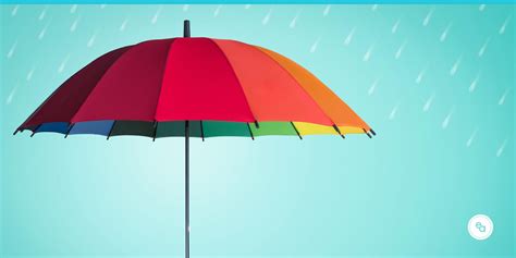 The Need To Knows About Umbrella Liability Insurance