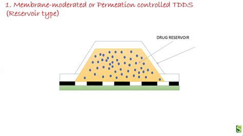 Transdermal Drug Delivery System Basic Components And Approaches Youtube