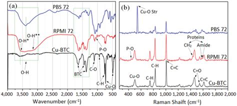 A Ft‐ir And B Raman Spectra Of Cu‐btc Crystallites Treated In Pbs