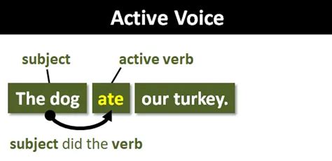 Voice Explanation And Examples