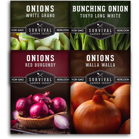 Onion Seed Collection - 4 Varieties – SurvivalGardenSeeds