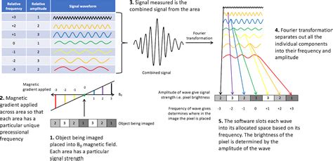 Spatial Encoding Radiology Cafe