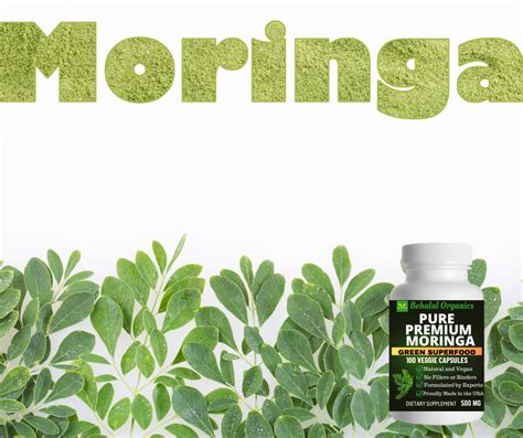 Moringa Oleifera Pure Premium Capsule Green Superfood 500mg 100caps