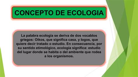 Concepto E Historia De Ecologia Ppt