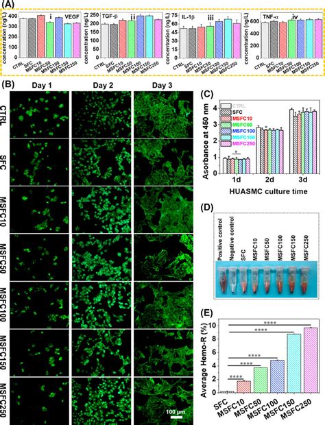 A Cytokines VEGF TGF β IL 1β and TNF α expression assay of