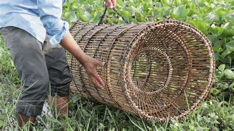 We Survival How To Make Fish Trap From Bamboo YouTube