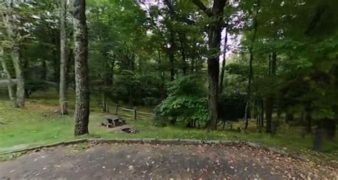 Doughton Park Campground 1 (1) | Campground Views