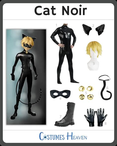 DIY Cat Noir Costume Ideas 2024| Cosplay And Halloween Ideas