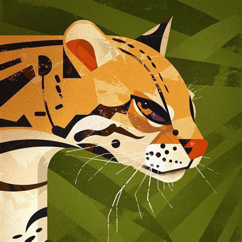 Dieter Braun Illustration Animaux Illustration Art