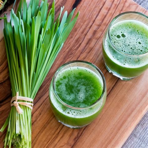 5 Amazing Benefits Of Wheatgrass Phresh Products