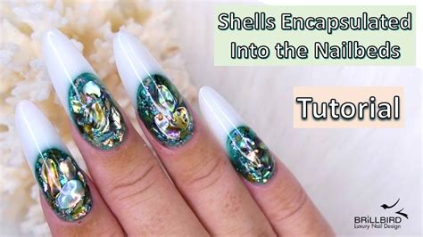 Full Tutorial How To Encapsulate Shells Into Sculpted Gel Nails Youtube