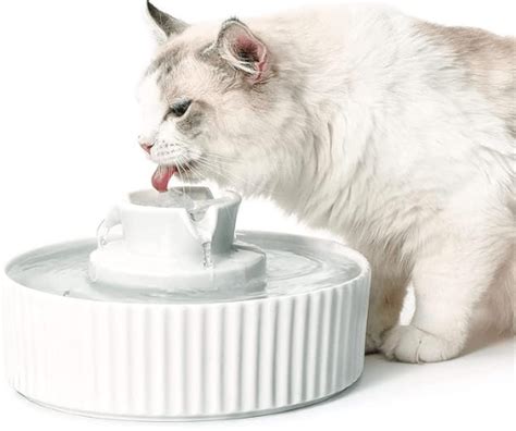 The Best Ceramic Cat Water Fountains Reviewed Elegant Sips