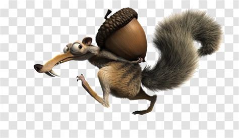 Scrat Ice Age Image Animated Film Acorn - Rodent Transparent PNG