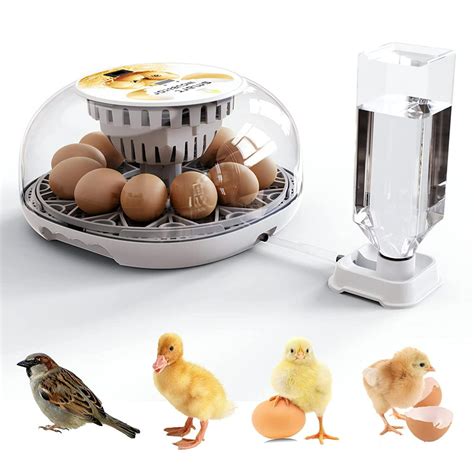 Newce Egg Incubators For Chickens Incubators For Hatching Eggs