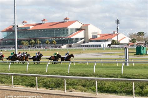 Fair Grounds Stakes Selections for Nov. 17 | TwinSpires