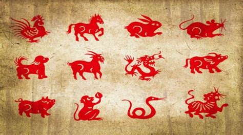 Zodiac Sign Spirit Animal Decoded! Find Out Who You Are - eAstroHelp