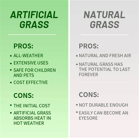 Artificial Grass vs. Natural Grass: Which Should You Choose for Your ...