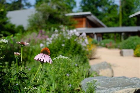 16 Of The Most Beautiful Botanical Gardens In North Carolina