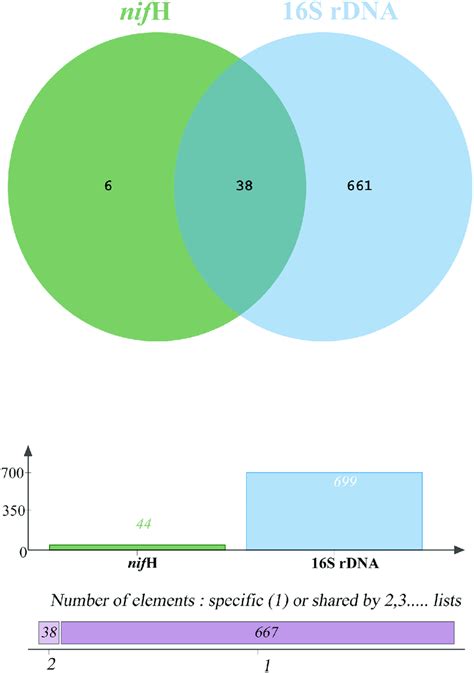 Venn Diagram Of Genus Level Of Species Diversity Comparison Between 16s