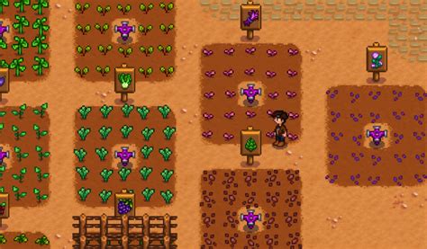 The 10 Best Fall Crops in Stardew Valley