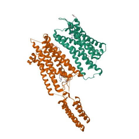 RCSB PDB 4EA3 Structure Of The N OFQ Opioid Receptor In Complex With