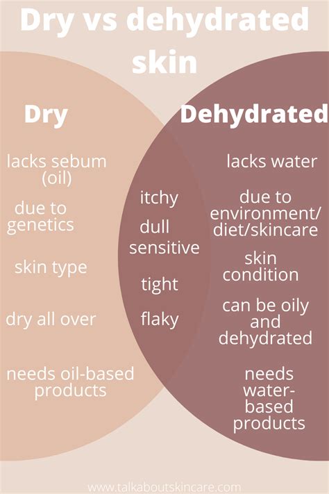 Dry Skin Vs Dehydrated How To Tell The Difference Makeup Tips For