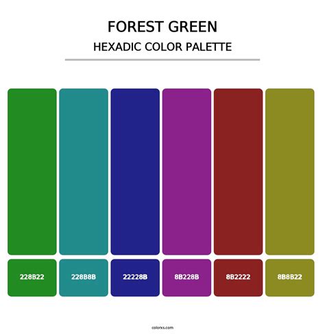 Forest Green Color Palettes