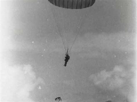 Chiens De Guerre Le Chien Parachutiste