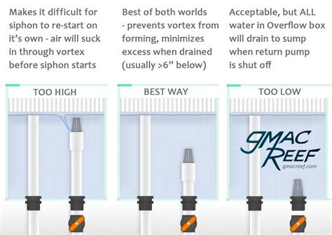 Herbie Overflow Plumbing Guide For Quiet Reef Aquariums Gmacreef