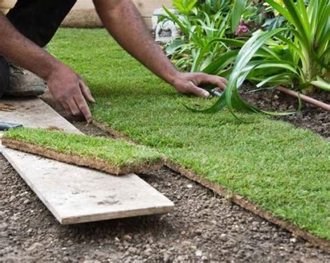 Turf Laying Service Sydney All Trees And Garden