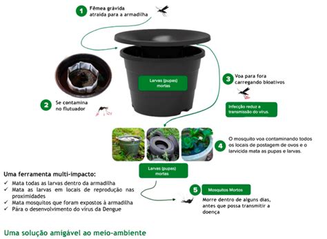 Armadilha Inteligente E Eficaz Combate Mosquito Da Dengue A Lavoura