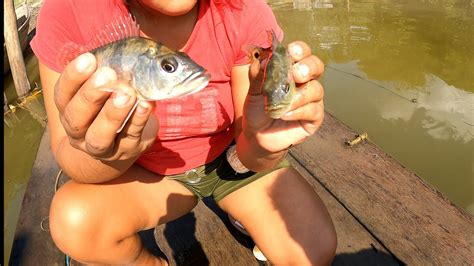 PESCA CON ATARRAYA EN LAGUNA SACAMOS BOCACHICO LISAS TUCUNARE