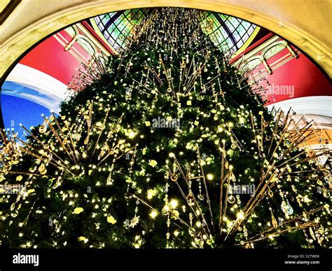 Queen victoria christmas tree hi-res stock photography and images - Alamy