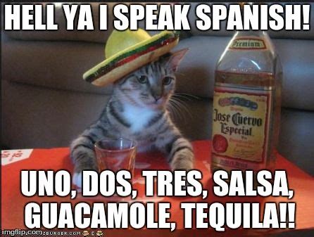 Pin By Tabbatha B On Memes How To Speak Spanish Mexican Words Funny